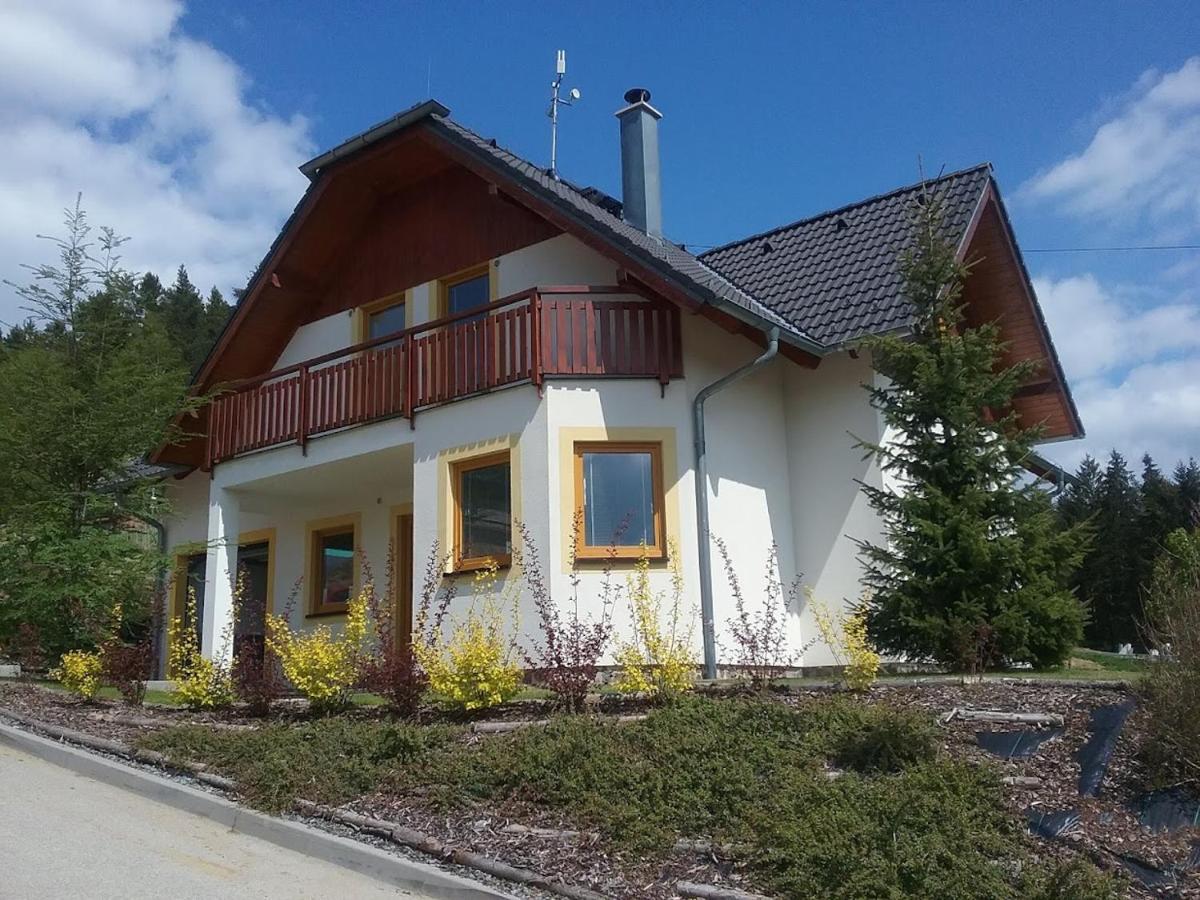 ליפנו נאד וויטאבו Villapark Lipno Dreams - Pet Friendly מראה חיצוני תמונה